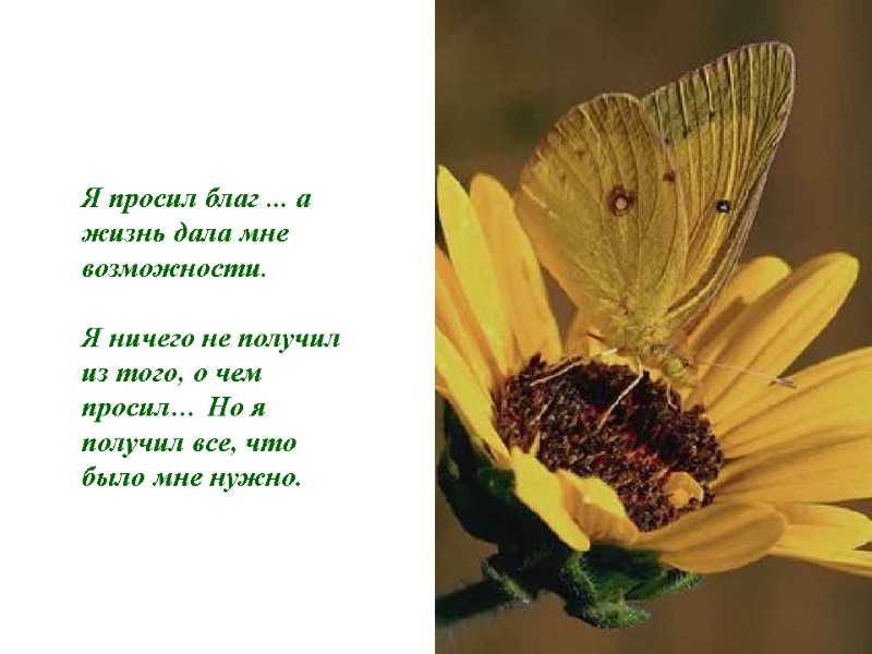 Я просил благ ... а жизнь дала мне возможности.  Я ничего не получил